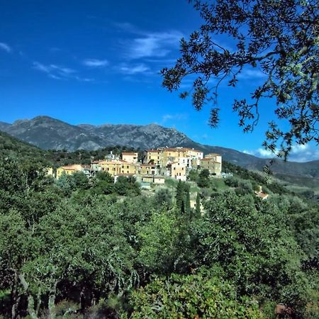 A Ghjuvellina Hotel Piedigriggio Luaran gambar