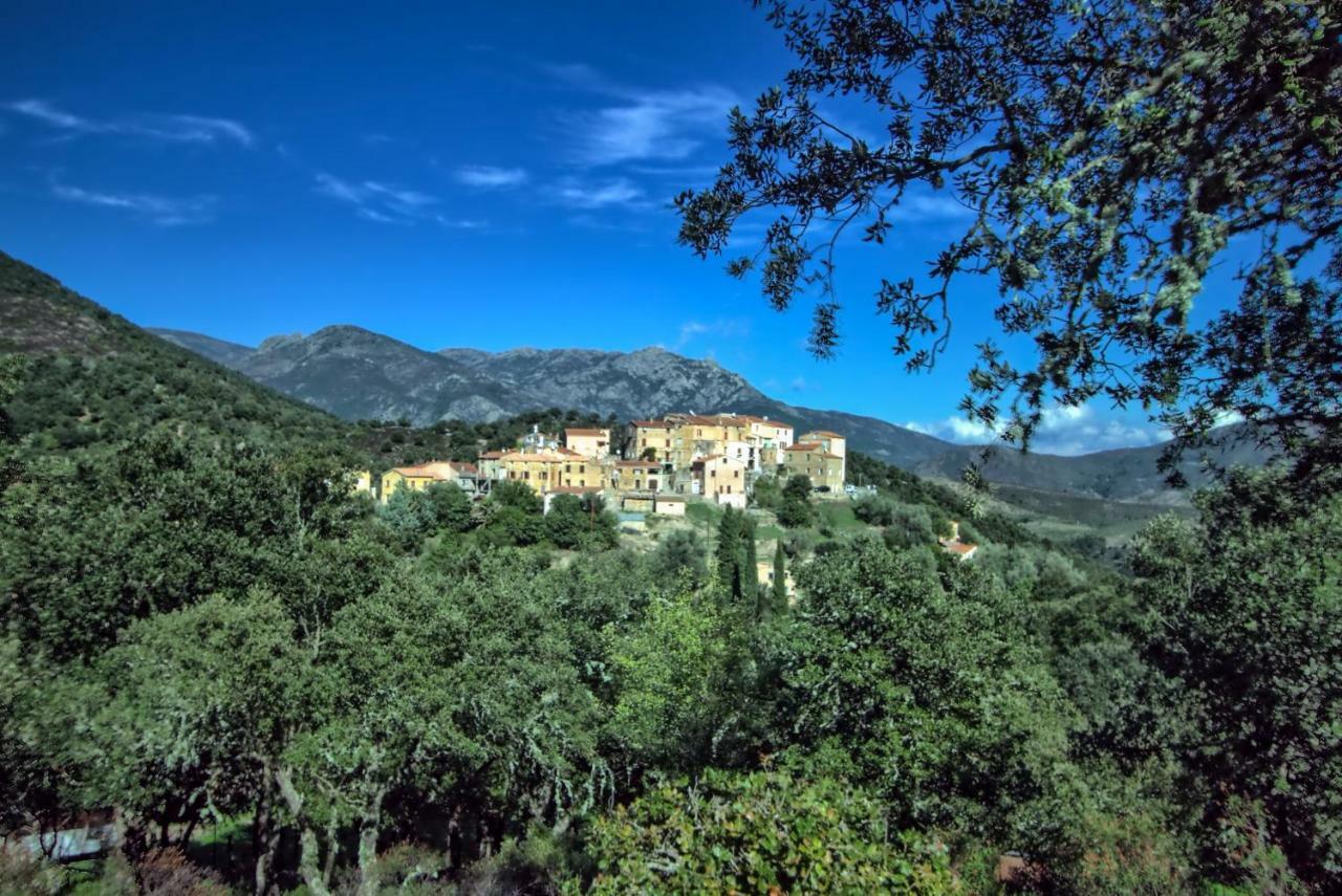 A Ghjuvellina Hotel Piedigriggio Luaran gambar